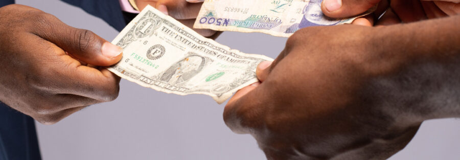 the CBN New Image that says, The BN New Free Floating Forex Policy